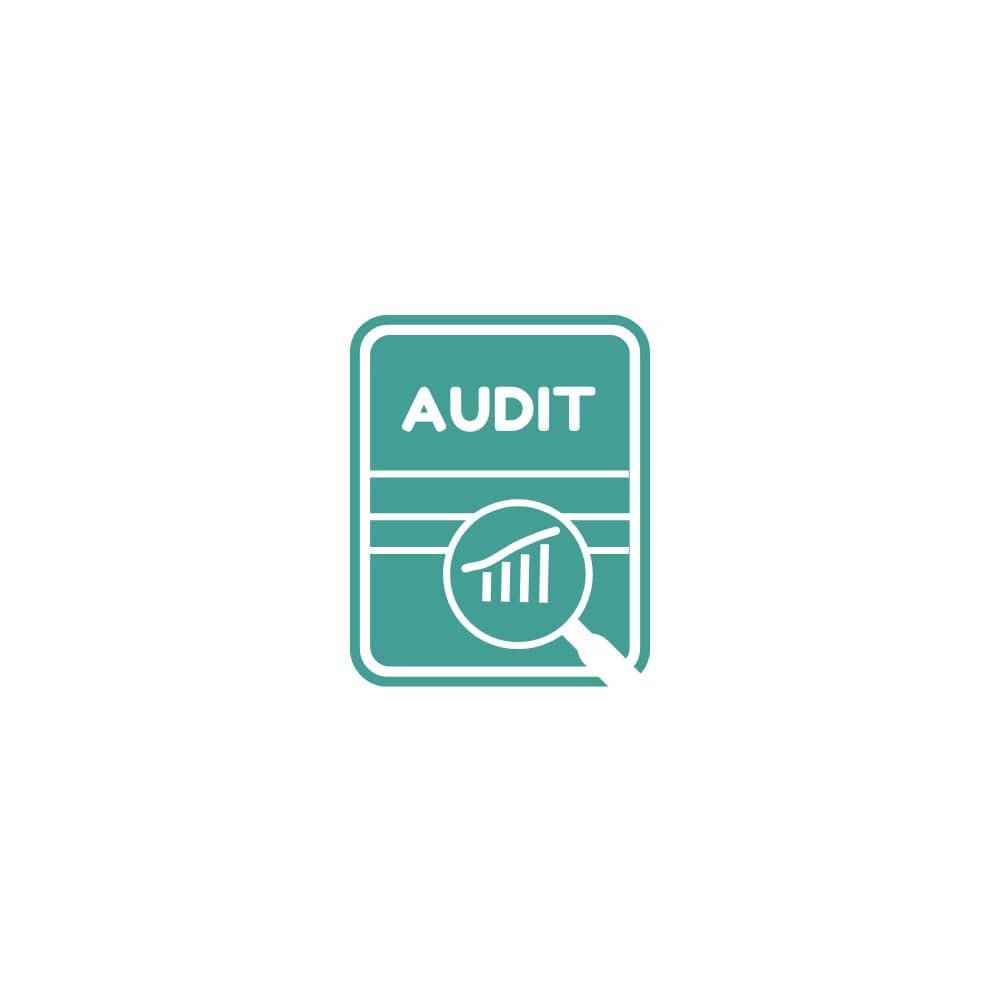 Audit & Assurance Services